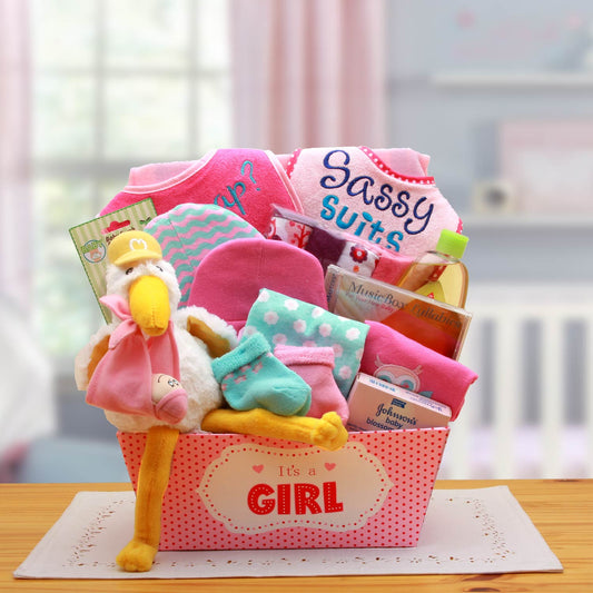 A Special Delivery New Baby Gift Basket- Pink - DB Gift Baskets