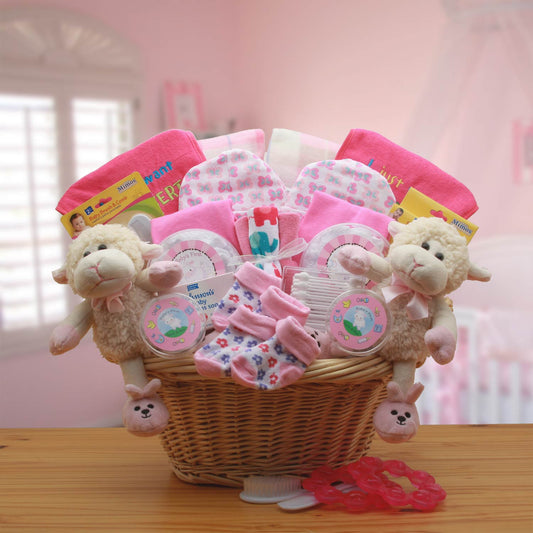 Double Delight Twins New Babies Gift Basket - Pink - DB Gift Baskets