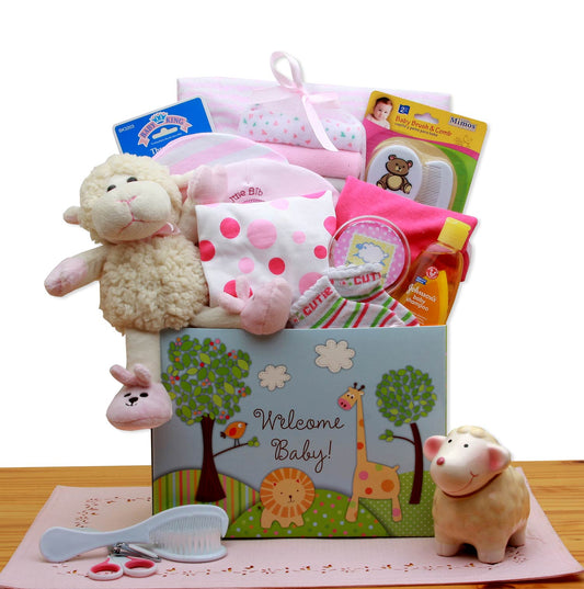 Welcome New Baby Gift Box - Pink - DB Gift Baskets